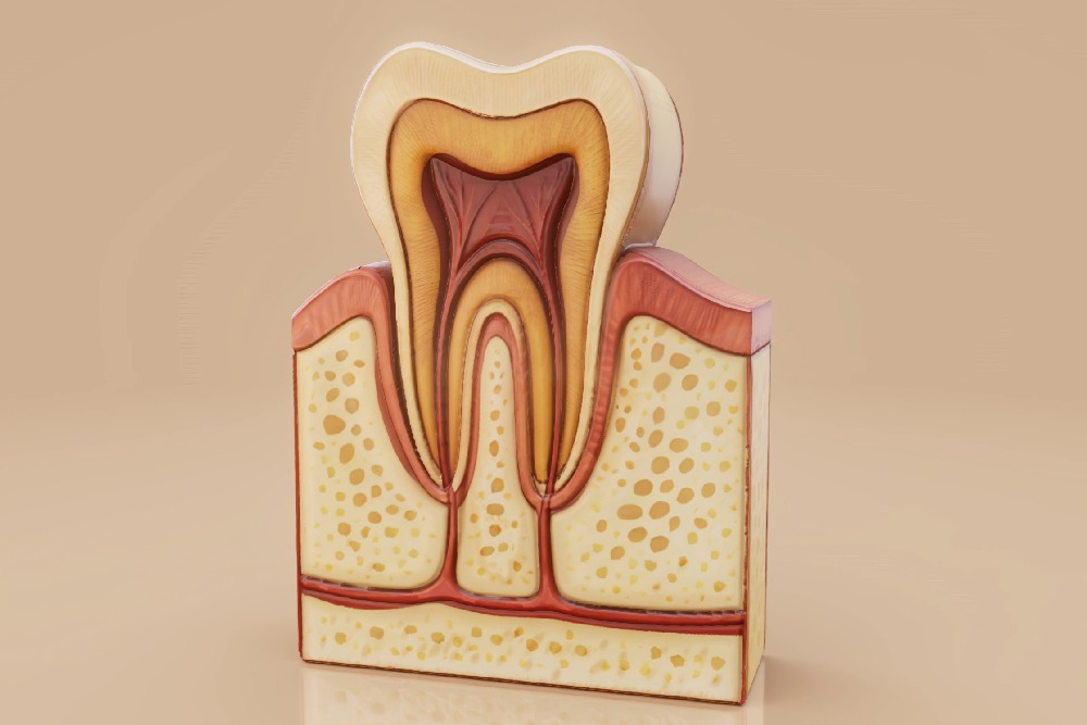 Endodonzia